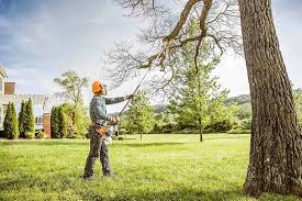 Best Storm Damage Tree Cleanup  in Pottsgrove, PA